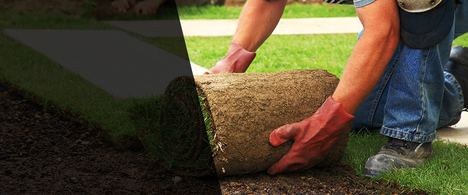 Campbell Hall Landscapers